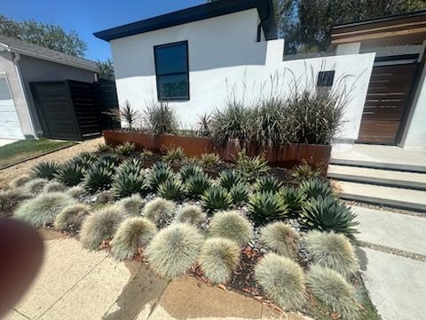 Drought-tolerant landscaping installation, North County San Diego